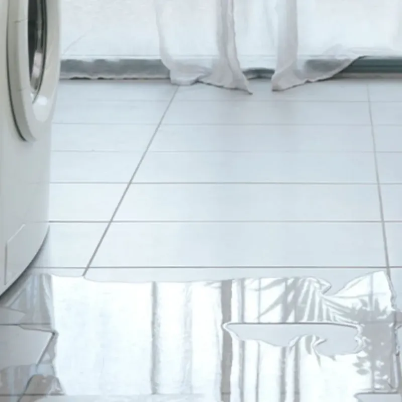 Appliance Leak Cleanup in Murphy, MO