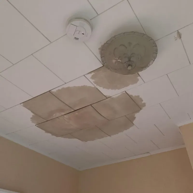 Ceiling Water Damage Repair in Murphy, MO