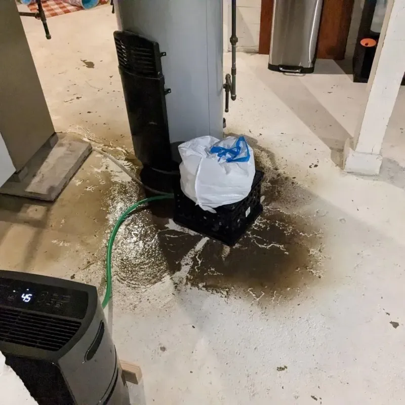 Sewage Backup Cleanup Service in Murphy, MO